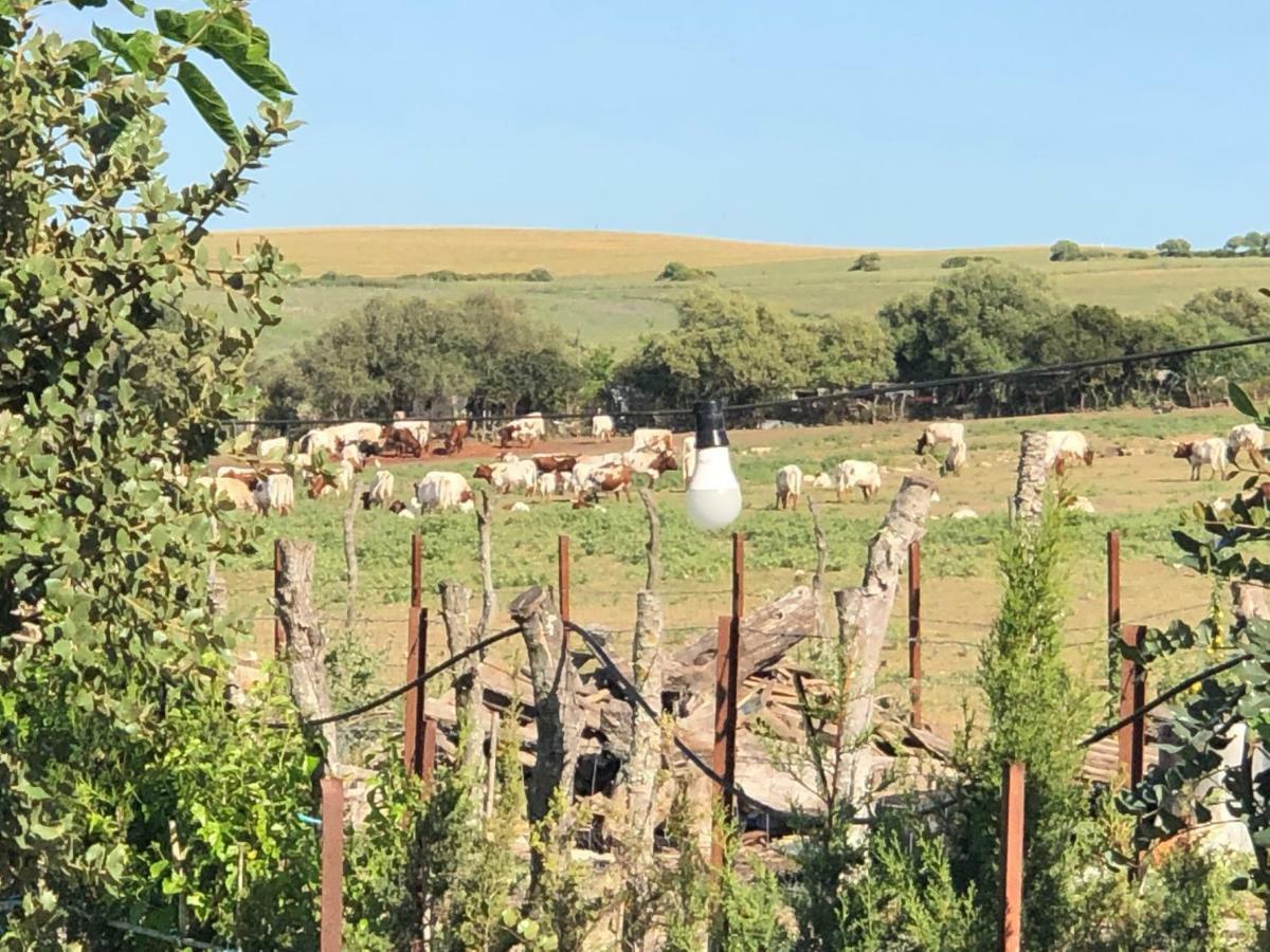 Alojamiento Rural El Soldao Medina-Sidonia Esterno foto